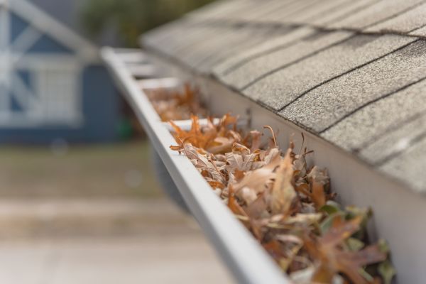 Leaf Barrier Installation in Antioch