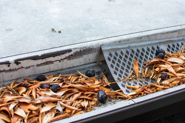 Gutter Screen Installation